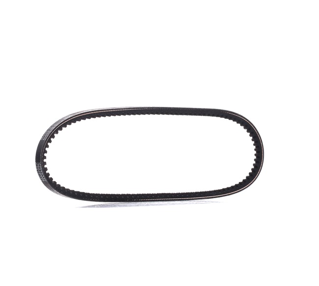 Correia trapezoidal DAYCO BMW 10A0725C