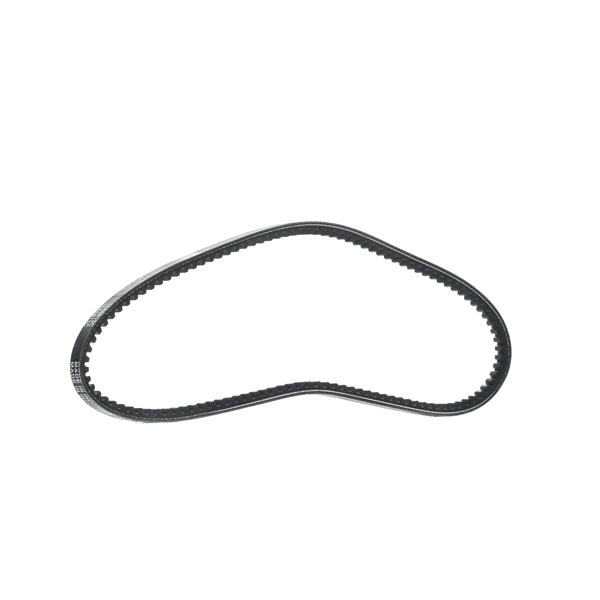 DAYCO Correia trapezoidal BMW 10A0813C