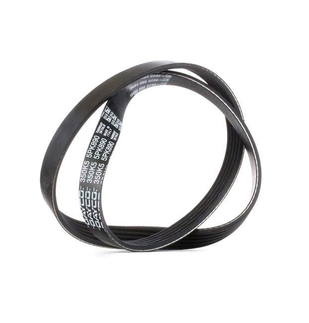 Moniurahihna 5PK890 DAYCO 6M5Q6C301BB VOLVO