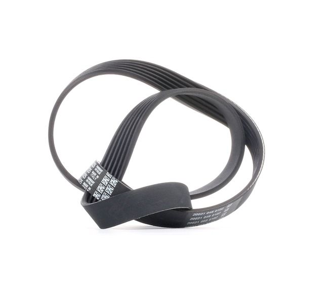 DAYCO 6x1125 Ozubený klinový remeň