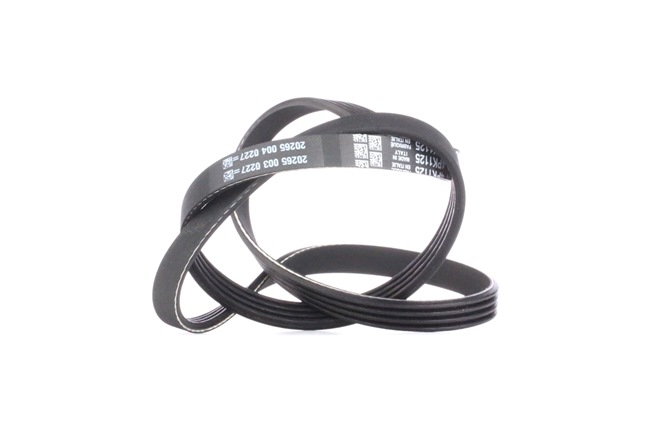 Kileribberem DAYCO NISSAN 4PK1125