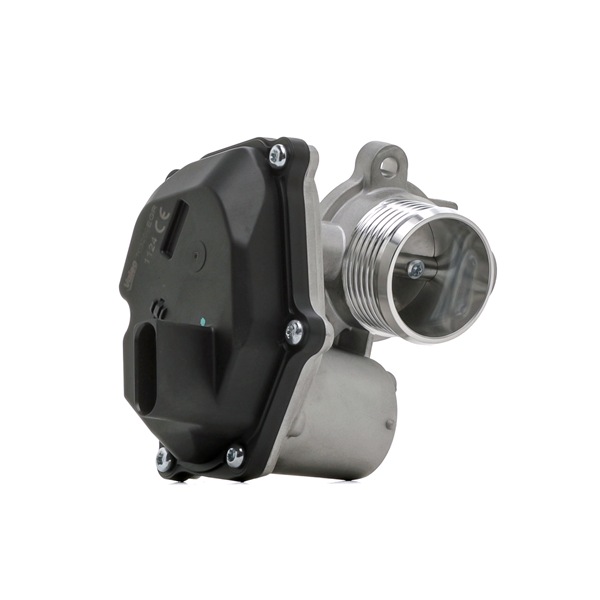 VALEO 703202 AGR-Ventil