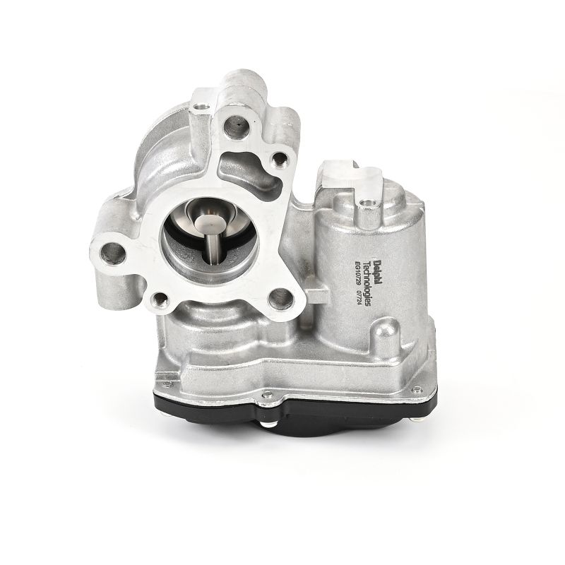 DELPHI EGR klapp MERCEDES-BENZ EG10729-12B1