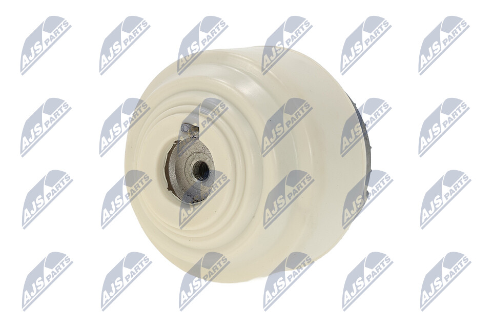 ZPS-ME-098 NTY Mercedes R172 Motorlager Preis