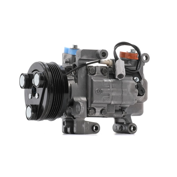 AC-kompressor 447K0264R RIDEX REMAN BP4S-61-K00 AC-kompressor 447K0264R RIDEX REMAN BP4S-61-K00 BMW