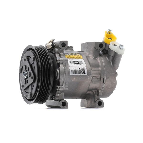 RIDEX REMAN 447K0299R Kompressor Klimaanlage Renault Scénic I JA0/1_, FA0_ 1.9 dCi 102 PS 2003 F9Q 732 Diesel RIDEX REMAN 447K0299R Klimakompressor Renault Scenic 1 1.9 dCi 102 PS Diesel Kosten