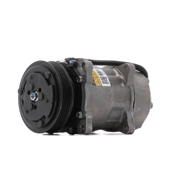 Klimakompressor 447K1103R RIDEX REMAN 96079051 Klimakompressor 447K1103R RIDEX REMAN 96079051 VW