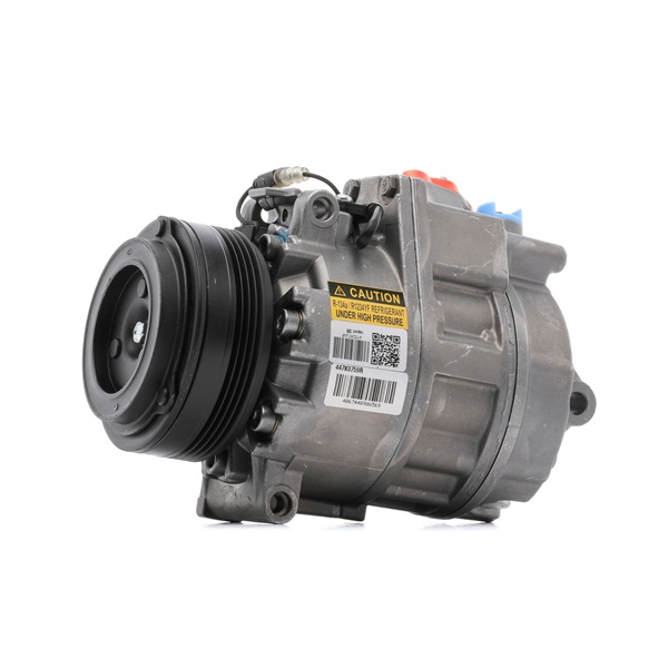 Compresseur de climatisation RIDEX REMAN 447K0759R Compresseur de climatiseur RIDEX REMAN DS 447K0759R