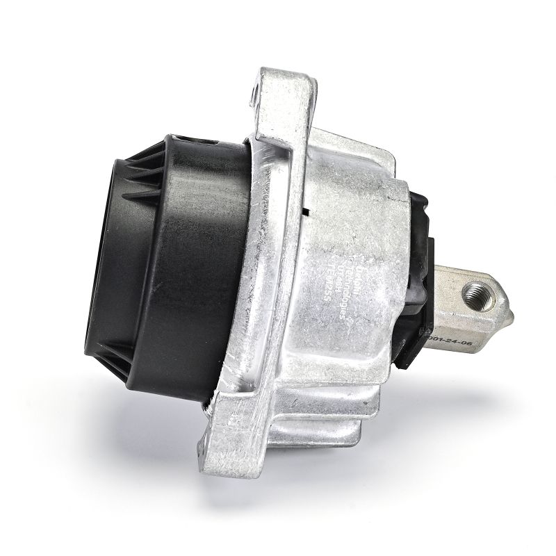 DELPHI TEM255 Motorsteunlager