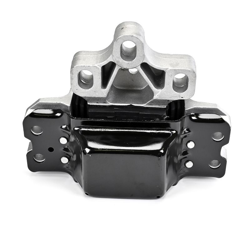 Motora spilvens SKODA DELPHI TEM256