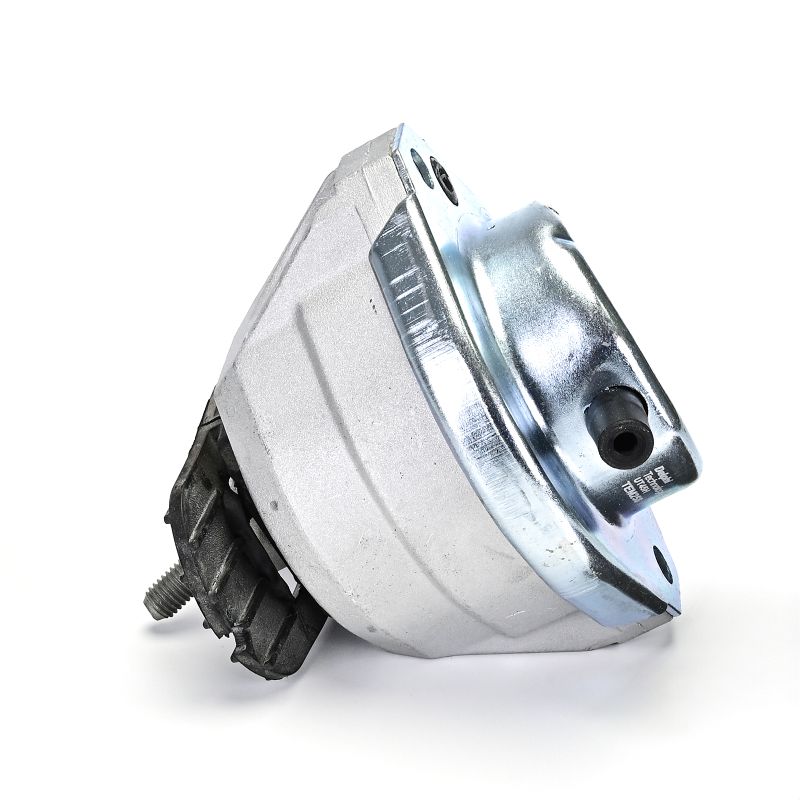 DELPHI TEM258 Motorsteunlager