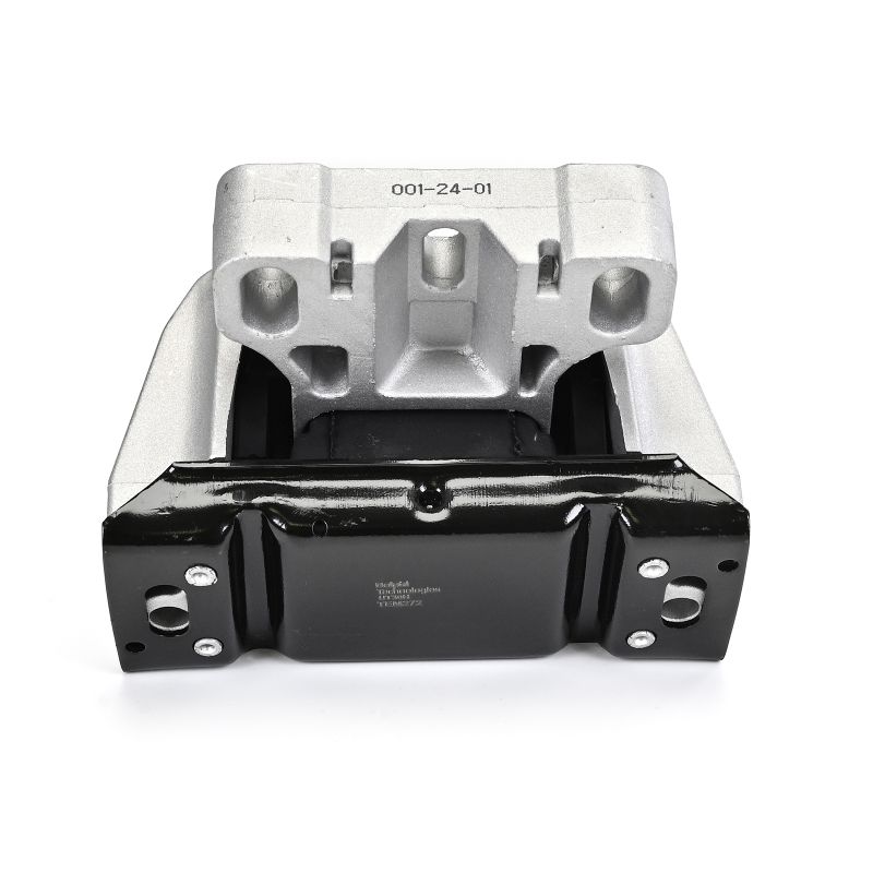 DELPHI TEM272 Motorsteunlager