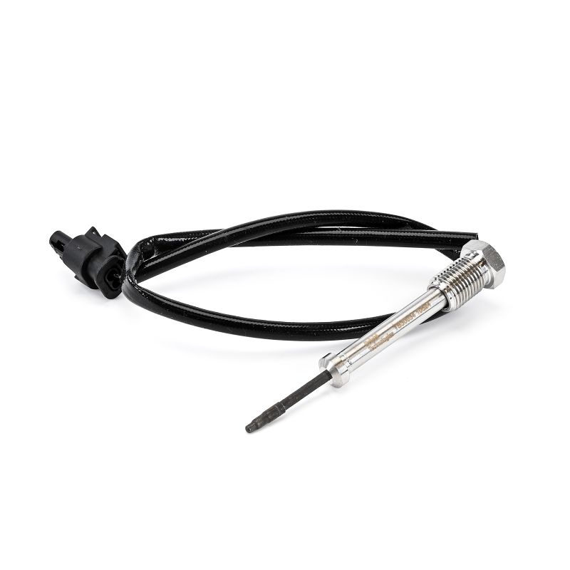 DELPHI Abgastemperatursensor TS30034-12B1 TS30034-12B1 Temperatursensor DELPHI BMW X3
