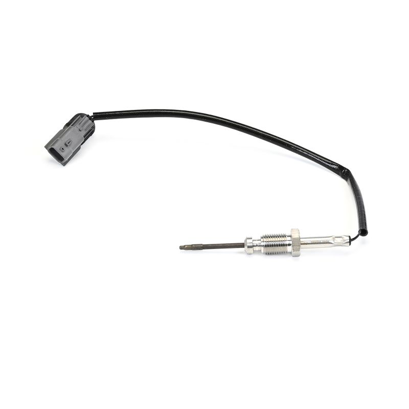 DELPHI TS30384-12B1: Αισθητήρας θερμοκρασίας καυσαερίων Dacia LOGAN 2010
