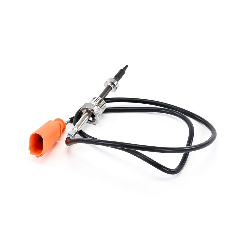 DELPHI TS30395-12B1: EGT sensor Seat IBIZA 2025