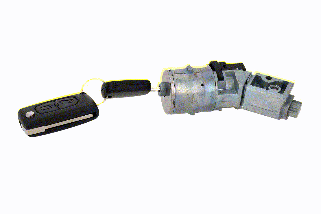 VAICO V22-1197 Lock Cylinder, ignition lock Green Mobility Parts-image-23009367