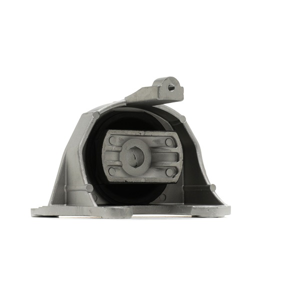 RIDEX 247E1216 Piekare, Dzinējs