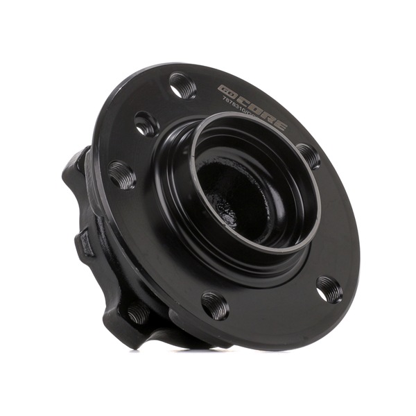 goCORE GCF540059 Radlagersatz