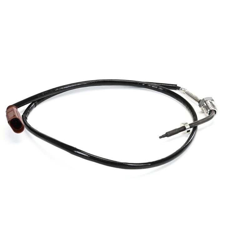 DELPHI TS30409-12B1 EGT sensor Seat IBIZA 2017