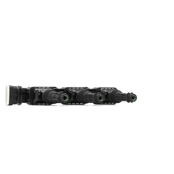 goCORE GCF890125 Zündleiste Opel Corsa C 1.0 (F08, F68) 58 PS Benzin Kosten