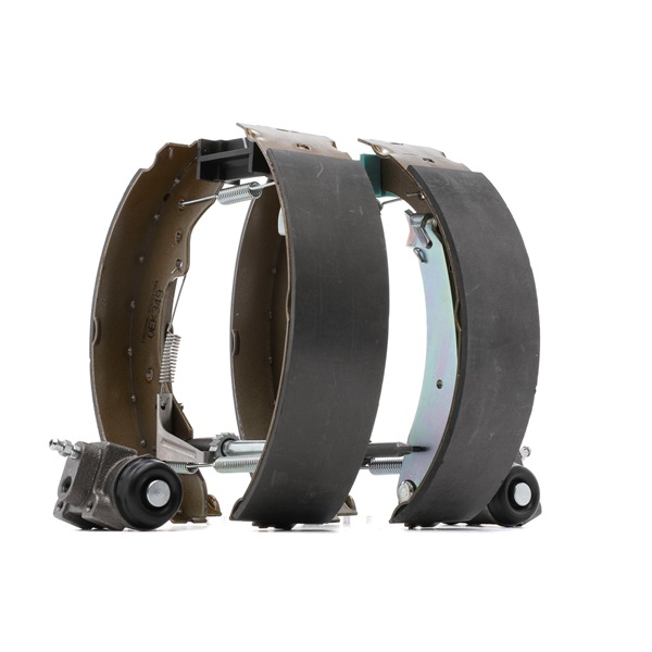Kit freins à tambours RIDEX CHEVROLET 3859B0310
