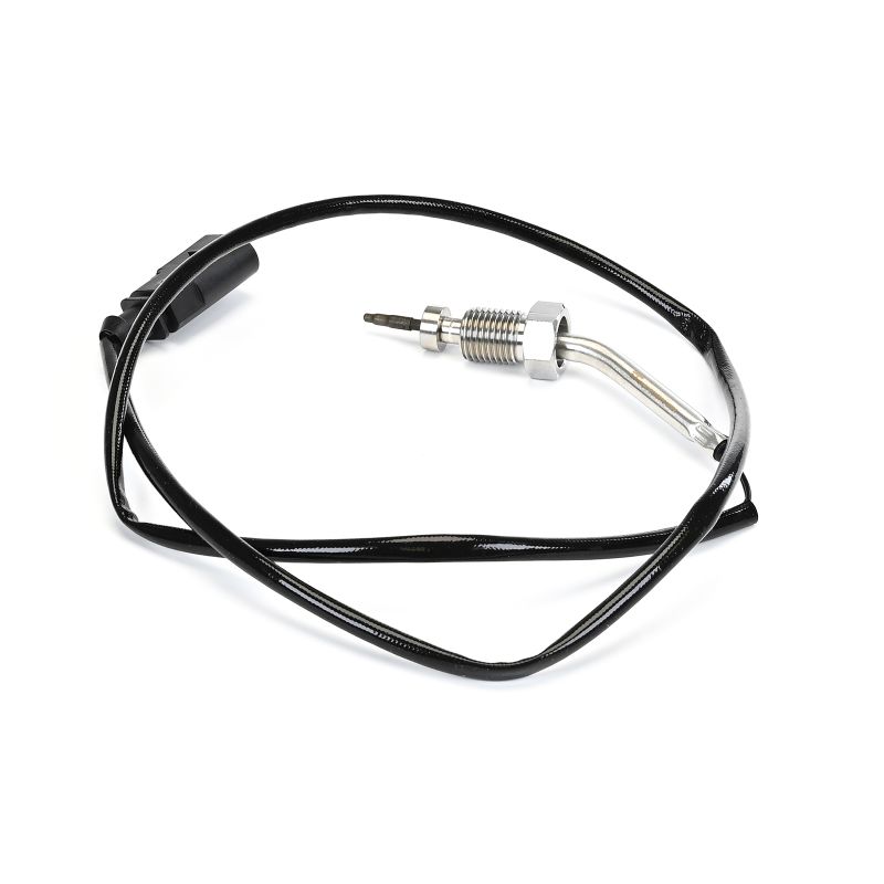 DELPHI Exhaust temp sensor SKODA TS30016-12B1