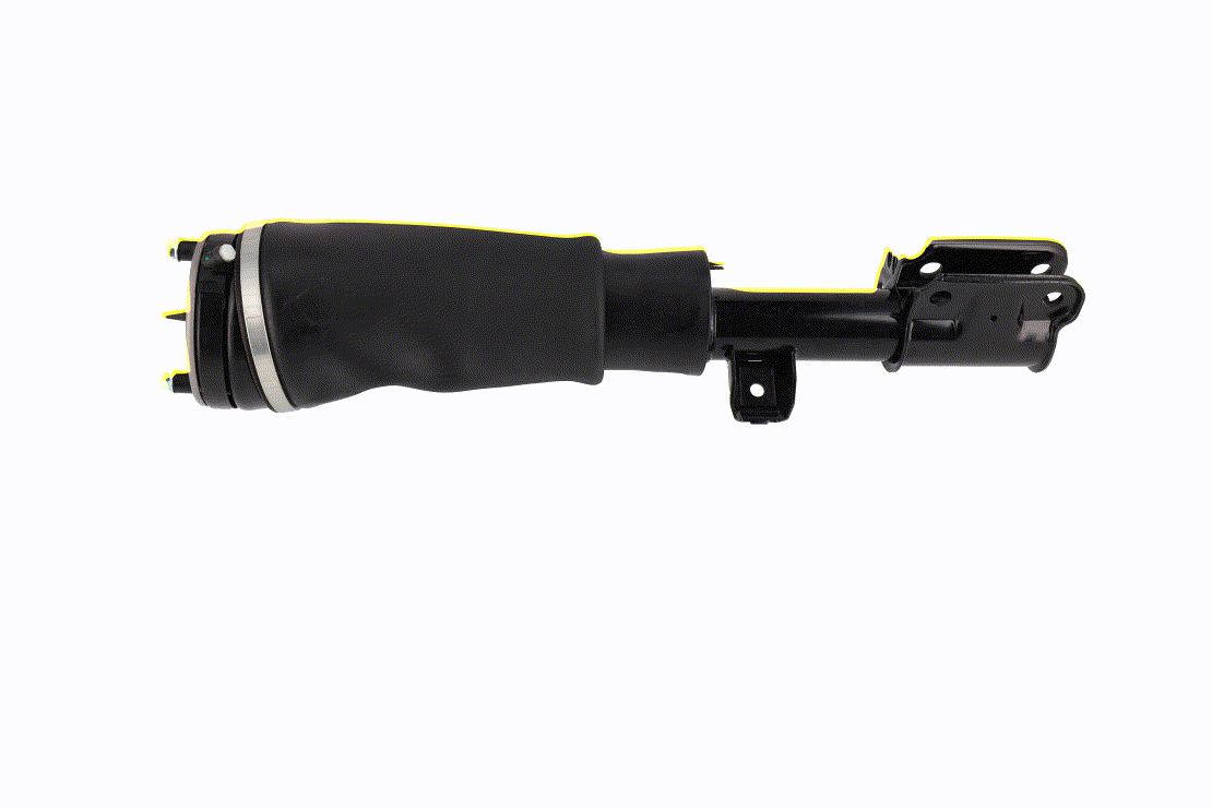 Air suspension strut 1102681 VEMO LR 012885 LAND ROVER