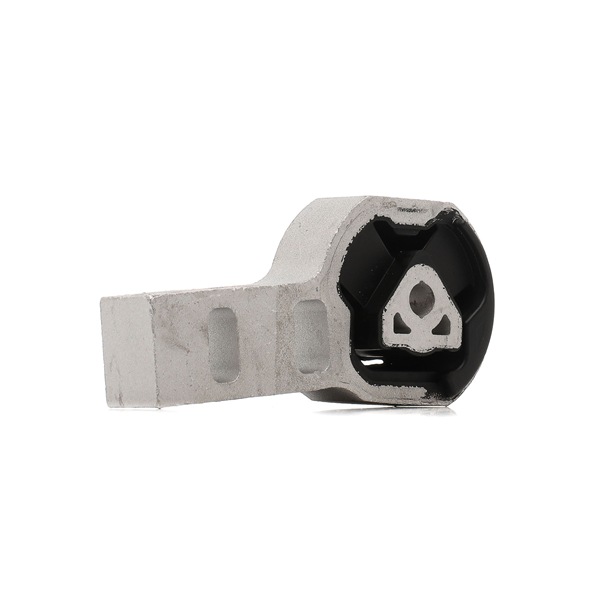 RIDEX 247E1257 Motorlager Fiat Panda 169 1.2 (169.AXB11, 169.AXB1A) 60 PS Benzin Kosten