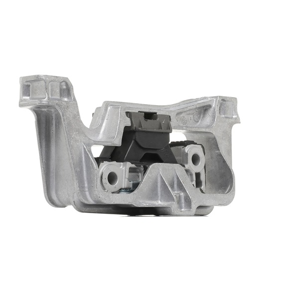 RIDEX 247E1288 Motorfeste