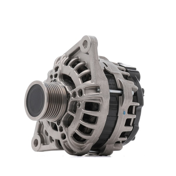 Alternatore 4G2060R RIDEX REMAN 58 0217 0711 Dispositivo ruota libera alternatore 4G2060R RIDEX REMAN 5802170711 SUZUKI