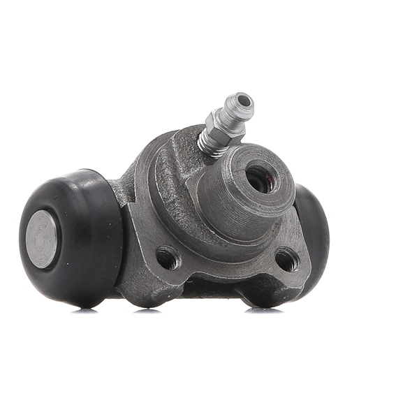 LPR 4804 Bombin de freno CITROЁN delantero y trasero precio