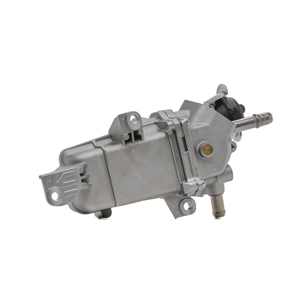 RIDEX 4198E0338 EGR modul
