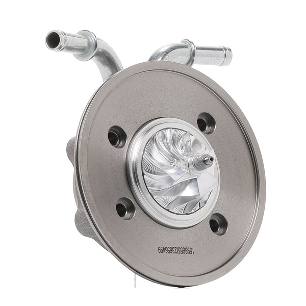 Online Shop: Turbolader Rumpfgruppe RIDEX 4973C0389