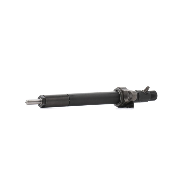 R06001D-12B1 DELPHI injectors for CITROЁN DS3