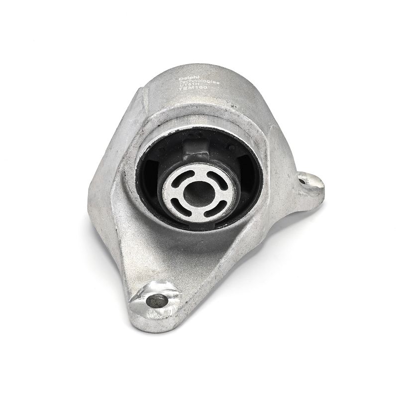 DELPHI TEM160 Support moteur pour Tesla Model S 5YJS 100D AWD 422 CV 2024 L2S moteur électrique DELPHI TEM160 Silent bloc moteur TESLA Model S (5YJS) 100D AWD 422 CV Électrique 2024