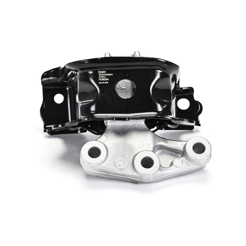 DELPHI Coxim de motor CITROËN TEM294
