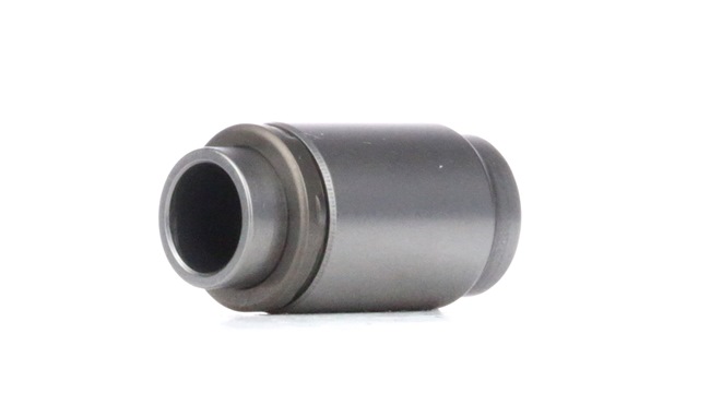 INA 420 0003 10 Tappet