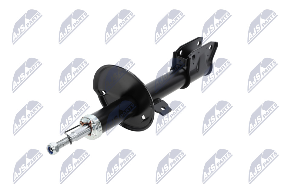 Ammortizzatore A-RE-021 NTY 543028126R ROVER