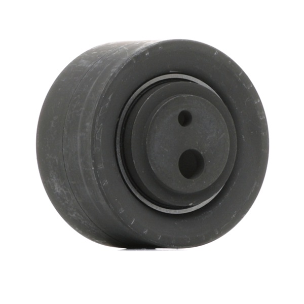 531 0257 10 INA Τεντωτήρας, οδοντ. ιμάντας Citroën φθηνά