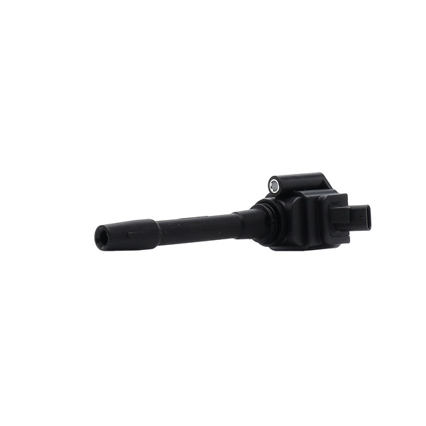 RIDEX 133798 Süütepool 689C0522