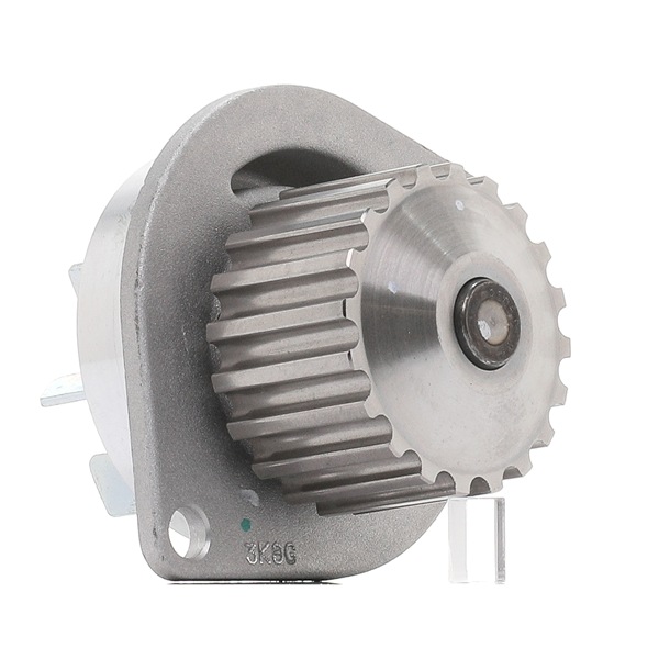goCORE GCA2600031 Pompa acqua