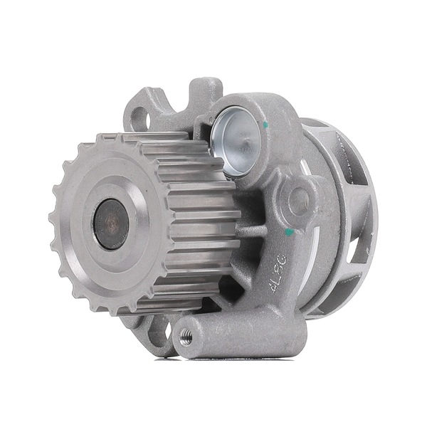 goCORE GCA2600060 Wasserpumpe