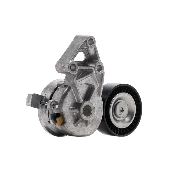 goCORE GCE410004 Spannrolle VW Bora 1j2 1.9 TDI 4motion 150 PS Diesel Kosten