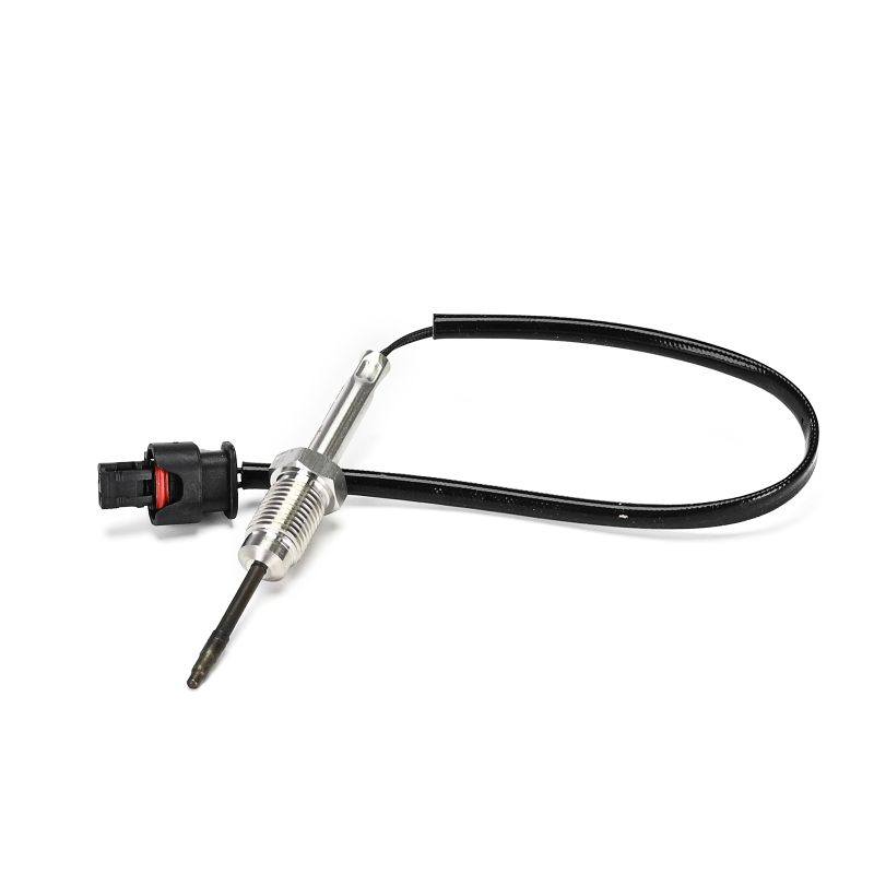 DELPHI TS30363-12B1 Abgastemperatursensor BMW F10 520d 200 PS Diesel Kosten