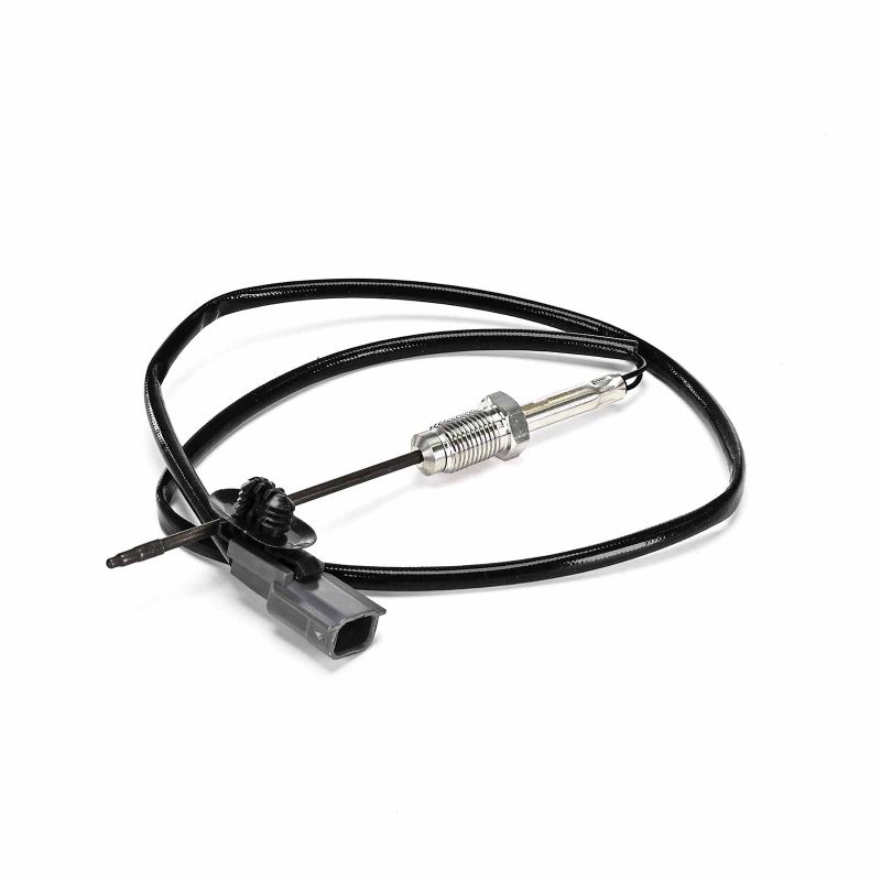 TS30372-12B1 DELPHI Temperatursensor RENAULT Kosten