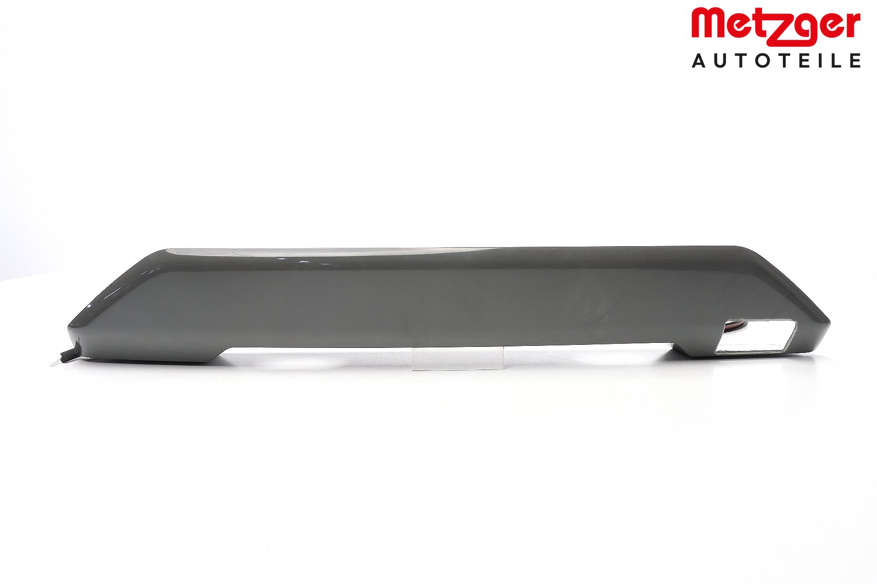 Oświetlenie rejestracji ALFA ROMEO METZGER 2080303
