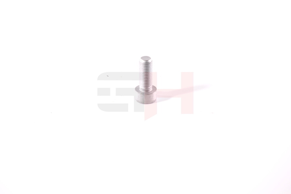 GH GH-394707 Fuseekogels VW California T5 Bus (7EC, 7EF, 7EG, 7HF) 2.0 TDI 4motion 136 Pk Diesel prijs