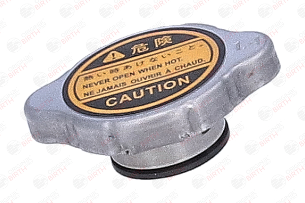 BIRTH 81184 Bouchon de radiateur Peugeot 4007 SUV 4x4 2.2 HDi 156 CV Diesel prix