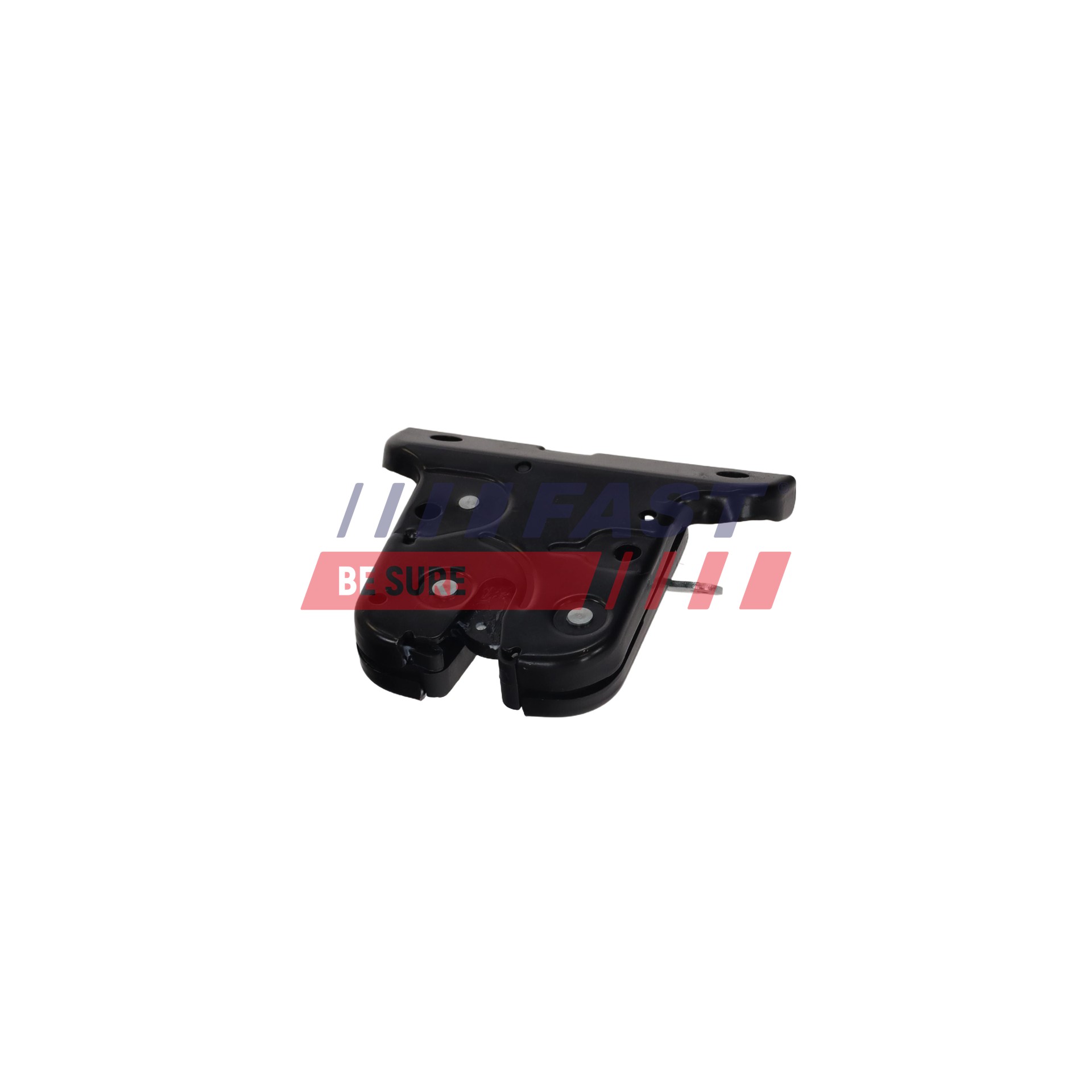 FAST FT02197 Tailgate Lock-image-24697345