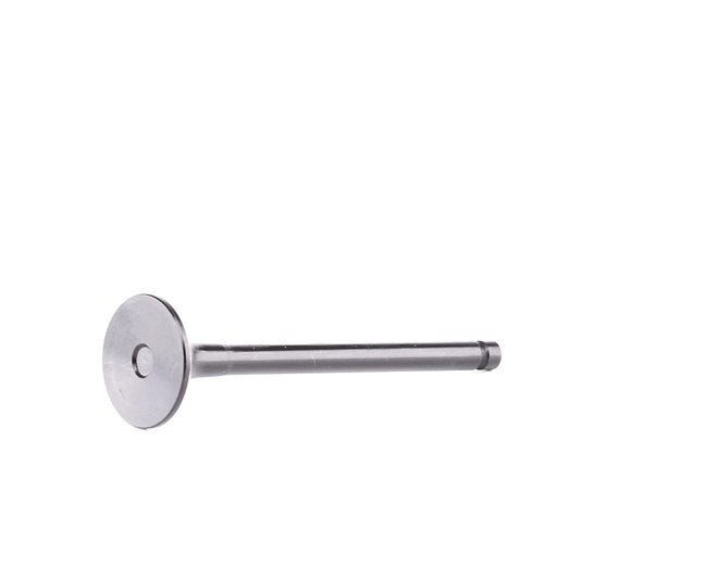 FRECCIA R6039/RNT Exhaust valve